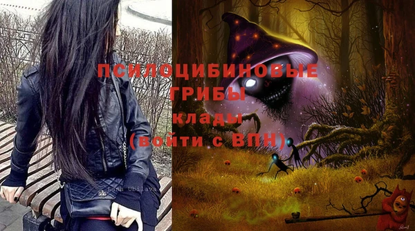 кокс Алзамай