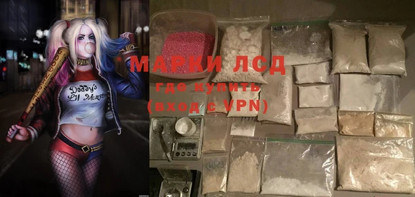 твердый Абаза
