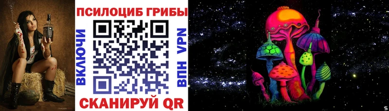 где купить наркотик  Северская  Галлюциногенные грибы MAGIC MUSHROOMS 