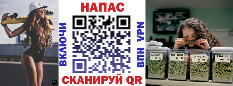 Марихуана сатива Северская